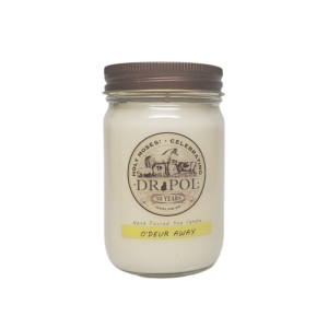 dr pol scented candle odeur away